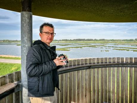 Bedreigde vogel was bijna verdwenen uit Nederland, totdat deze een broedplaats vond in Rotterdam