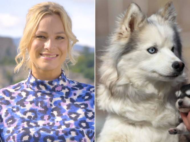 Oproep An Lemmens om Roefel-activiteit ‘puppy’s knuffelen’ te schrappen doet gemeente niet buigen: “Fokker heeft alle vergunningen”