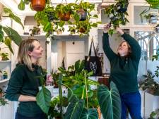 Op donderdag is Yvon (33) tandarts, op vrijdag verkoopt ze bijzondere planten