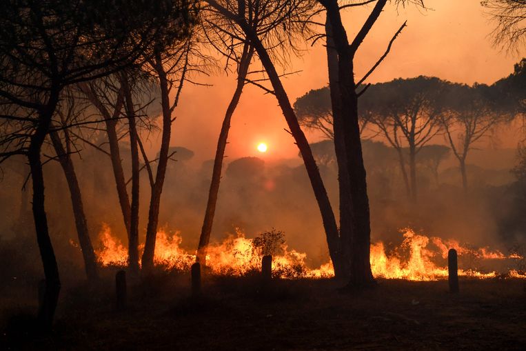 Immense bosbrand nabij Saint-Tropez eist eerste dodelijk ...