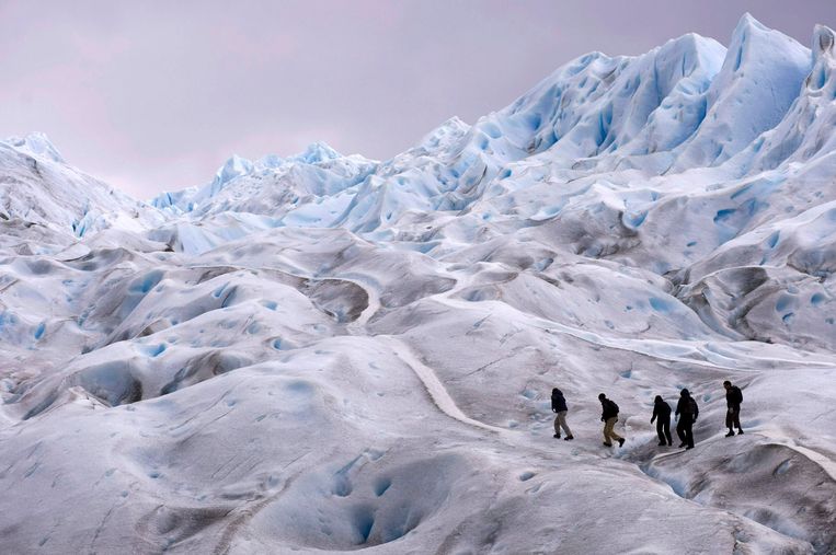 De Pireto Moreno-Gletsjer in Argentinië. Door opwarming van de aarde dreigen veel gletsjers in hoog tempo te verdwijnen. Beeld Reuters/Marcos Brindicci