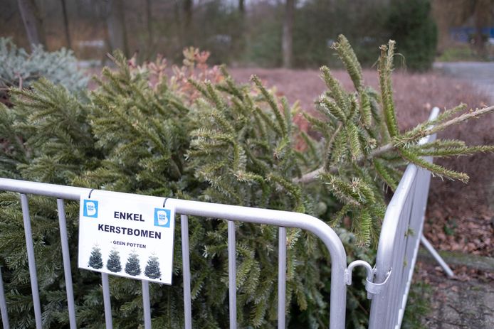 Kerstboomophaling illustratie