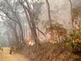 Regen in delen Australië waar natuurbranden woeden: “Een kerstwonder”