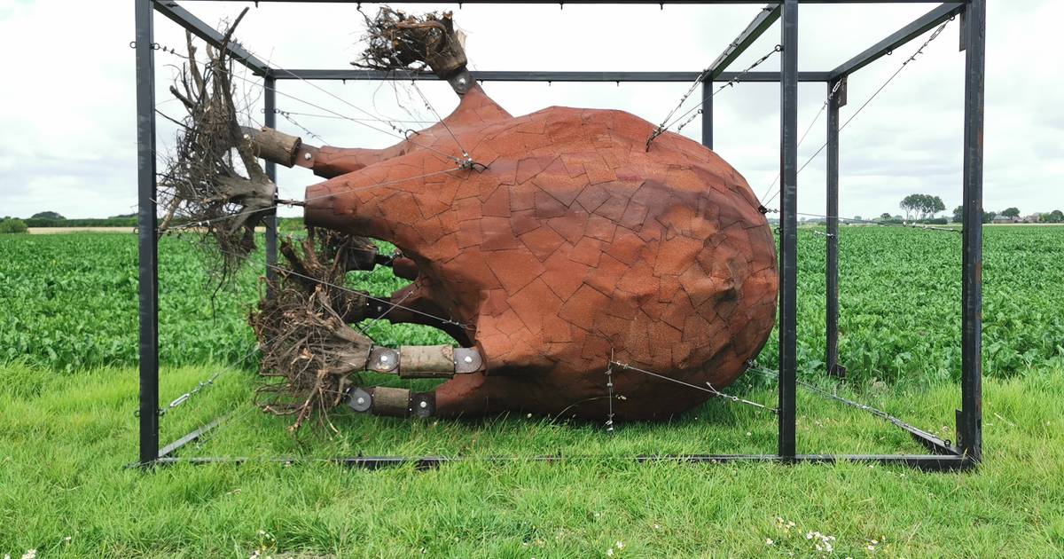 Verbeke Foundation toont kunst in Groede: ‘Deze activiteiten moeten we koesteren’