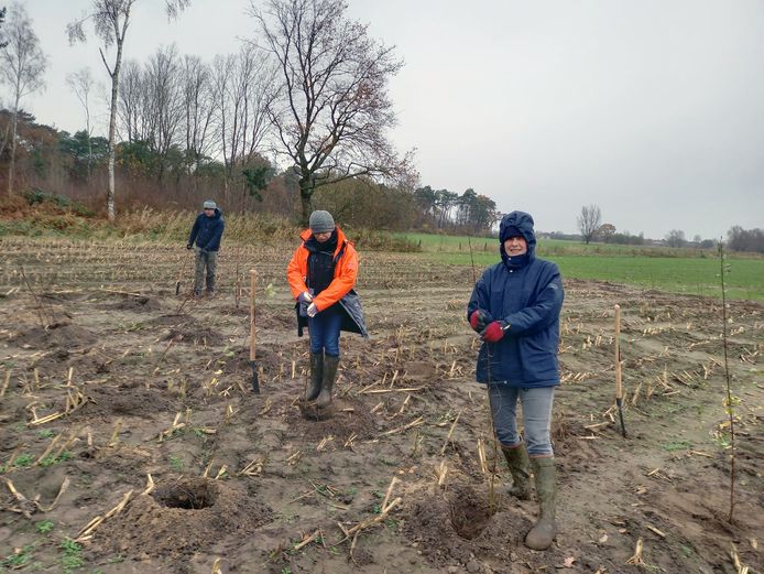 De medewerkers van de provincie planten bomen aan aan de rand van de Hospicebossen.