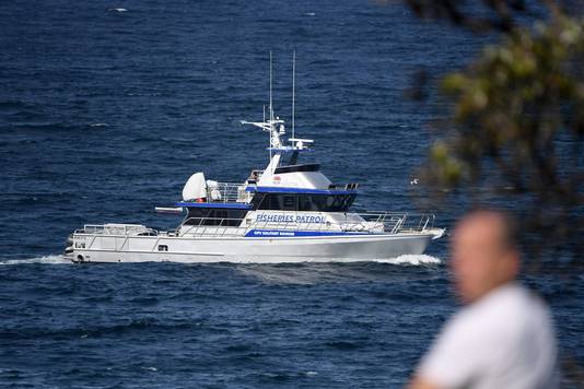 Ook met boten zijn de Australiërs op zoek naar de haai die de 35-jarige Simon Nellist heeft vermoord.