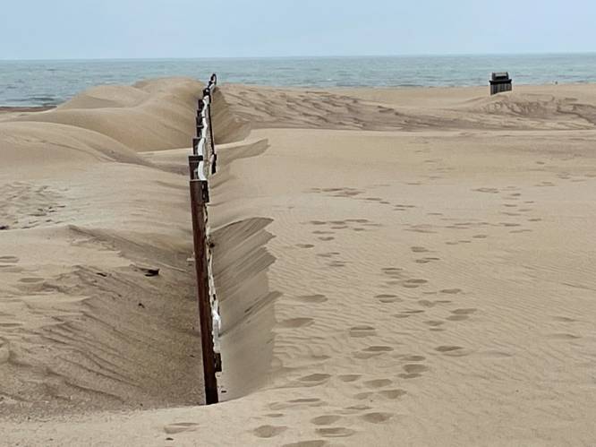 Dit doen aanhoudende wind en droogte met onze stranden: Knokke-Heist grijpt vanaf maandag in