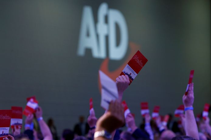 In Duitsland is de extreemrechtse partij AfD (Alternative für Deutschland) de tweede partij geworden in een peiling in opdracht van de krant Bild. Met 17 procent scoort ze beter dan de socialisten van SPD, die op 16 procent stranden.