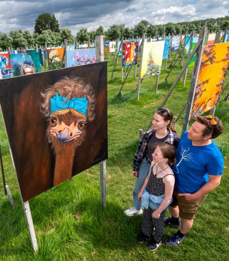 Weer vijf maanden schilderijen bekijken in Park Lingezegen: ‘Succes van The Colorfield in 2021 smaakte naar meer’