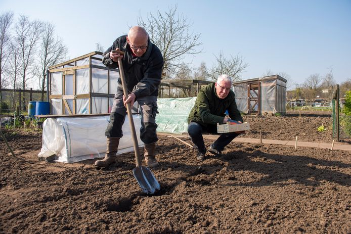 Paul van de Weijer (r) aan het werk is in zijn volkstuintje samen met Theo van der Vleuten.