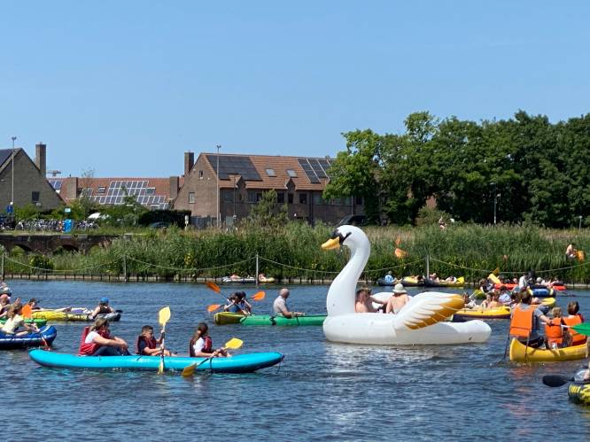 IN BEELD: Vraag om open zwemwater klinkt luider dan ooit: wel 1.000 deelnemers aan ‘Dobberdag’ in het Houtdok
