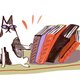 Het boekenjaar 2022: geen plek meer voor karikaturale rokjes en potentaten met spierbundels
