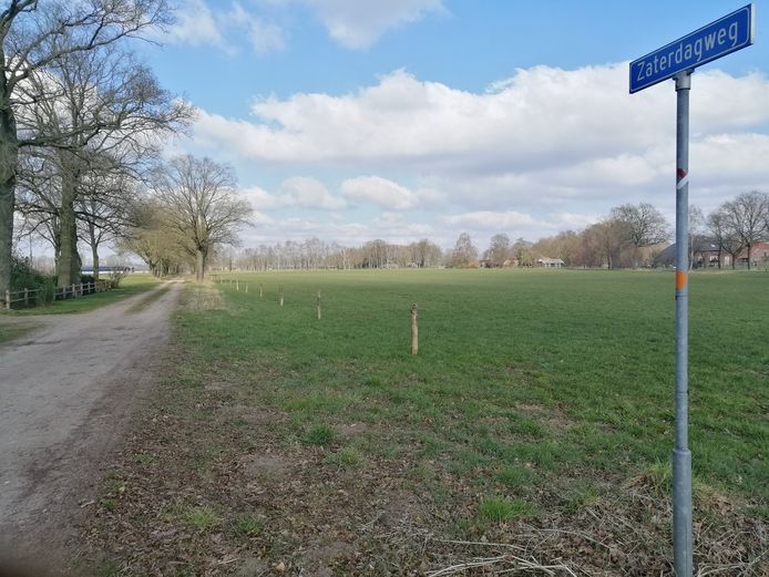 De Zaterdagweg in Eibergen is een van de plantlocaties van Meer Bomen Nu.