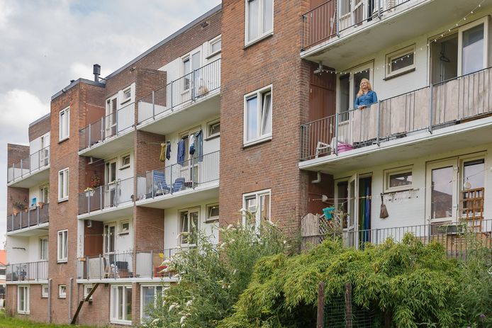 Woningen van woningcorporatie SWZ aan de Pieter Steynstraat in Zwolle.