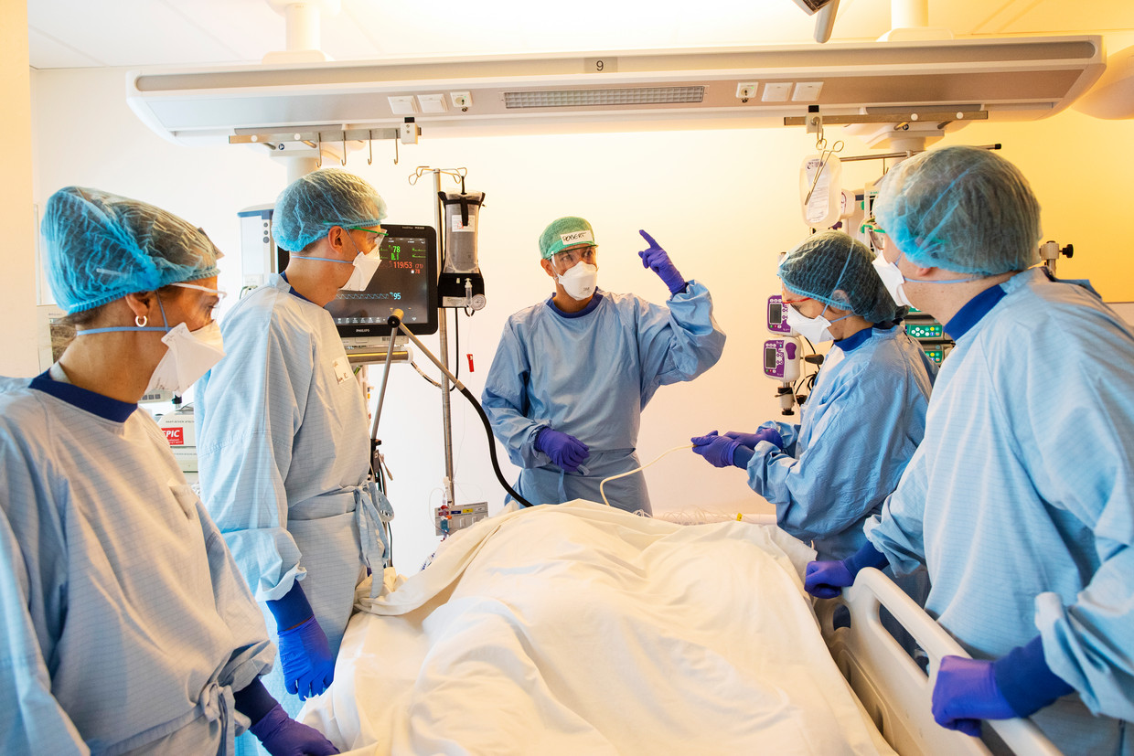 Responsabile di iOS: “Guarda con paura e tremore al numero crescente di infezioni”