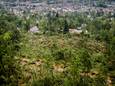 Honderden omgewaaide bomen in natuurgebied Boswachterij Leersum, een dag na de hevige storm. Meteorologen leggen uit wat er precies gebeurd is.