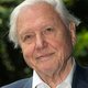 Sir David Attenborough: 'Ik dúrf zelfs niet nadenken overin wat voor een wereld onze kleinkinderen zullen opgroeien'