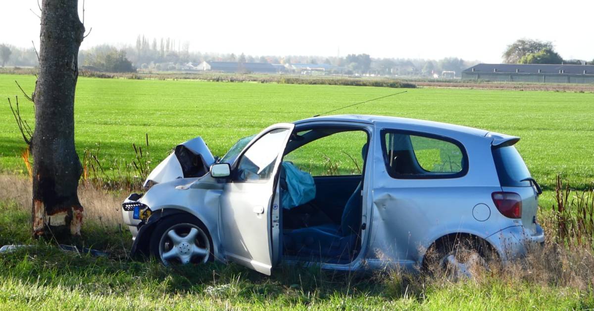 Automobilist zwaargewond bij frontale botsing tegen boom in Oijen.