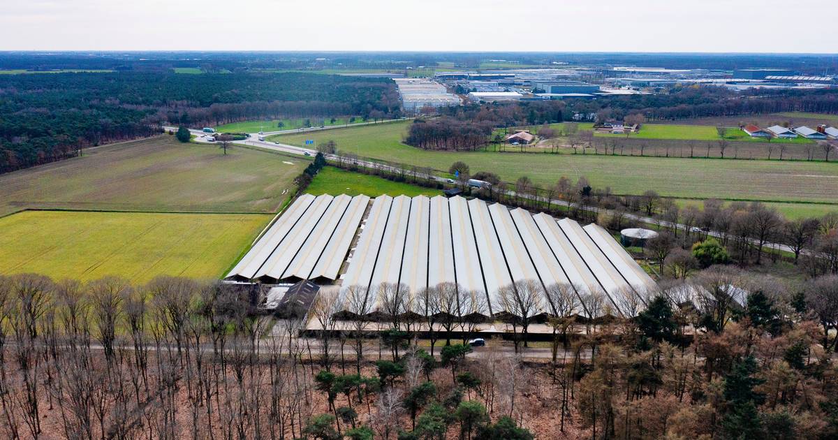 N279 is dankzij veilige oversteek geen hindernis meer voor komst arbeidsmigrantenwijk in Vlierden
