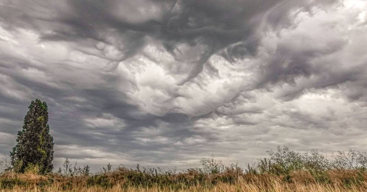 Bollettino meteorologico.  Forti temporali con grandinate e rovesci probabili dal tardo pomeriggio: RMI annuncia Codice Giallo e, se richiesto, Codice Arancione |  Novità Instagram VTM