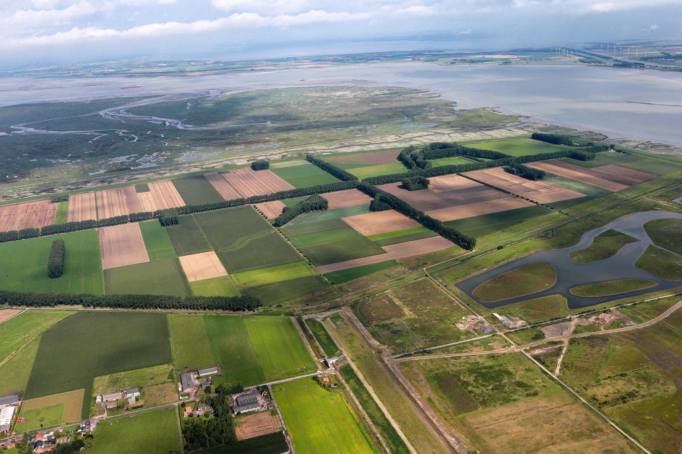 Minister Ontpoldering Hedwigepolder kan definitief Foto AD.nl