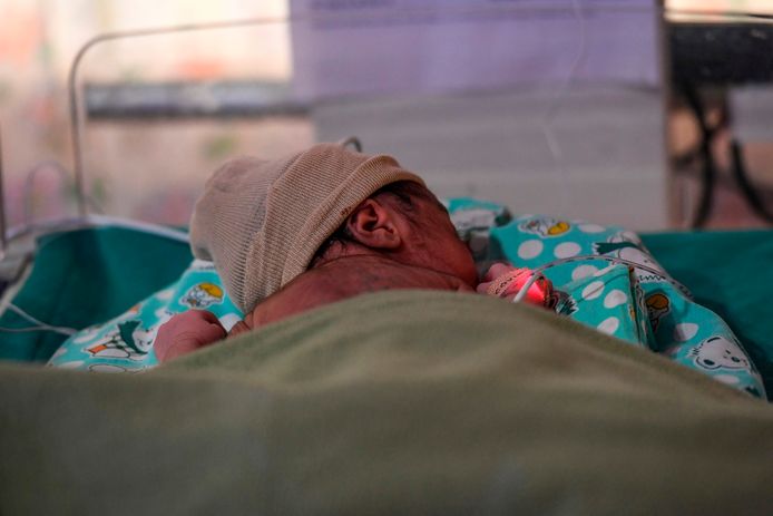 Baby Levend Opgegeten Door Honden Nadat Tienermoeder Hem Vlak Na Geboorte In Wildernis Dumpt Buitenland Ad Nl