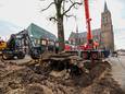 De Gastelse linde wordt niet gekapt maar verplaatst, donderdagochtend is de boom met wortel en al uit de grond op de Markt getild.