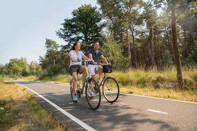 Kilometers aan overbodig fietspad verdwijnt uit het bos: ‘Kwaliteit van het bos impuls geven’