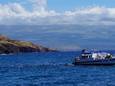 Foto ter illustratie: toeristen op snorkeltour bij Maui, Hawaï.