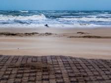 Mijn redder in nood: ‘Never trust the ocean’