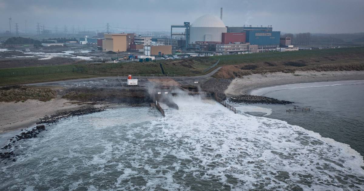 Pleidooi tegen kernenergie in Borssele maakt veel los: ‘Helaas, Zeeland is nou eenmaal het afvoerput