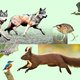 Is er dan echt geen hoopgevend nieuws voor het herstel van de natuur? Toch wel