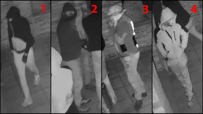 Politie verspreid beelden van inbrekers op Ten Ede
