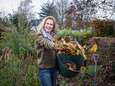 Hoe bescherm je vorstgevoelige planten als de temperaturen een duik nemen? “Laat ze niet overwinteren in de huiskamer”