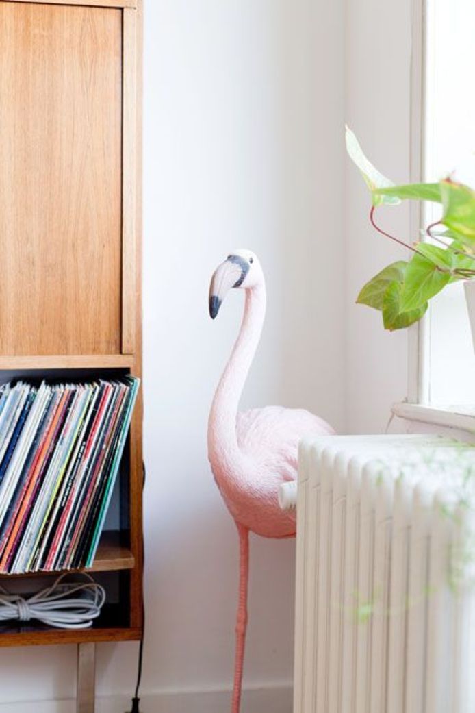 Lift Blind vertrouwen Ja In elk huis een roze flamingo | Binnenland | AD.nl