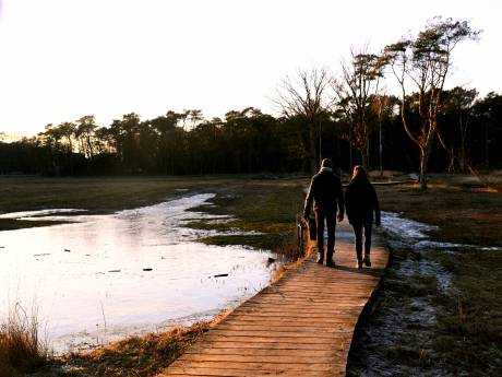 Gerucht over ‘hondengif’ in wandelgebied Visdonk, waarschuwingsborden ‘voor de zekerheid’ geplaatst