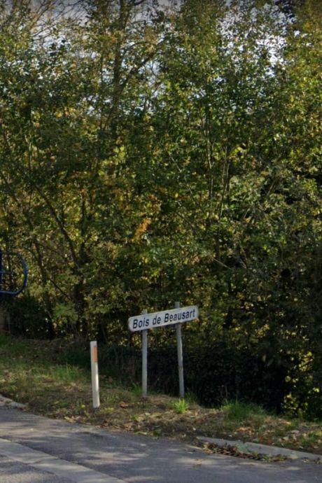 Un bois du Brabant wallon ravagé par les flammes