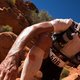 Extreme sporters: Steven Sleuyter, directeur