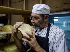 Hoe Rusland kaas met een Nederlands ‘korstje’ omarmde