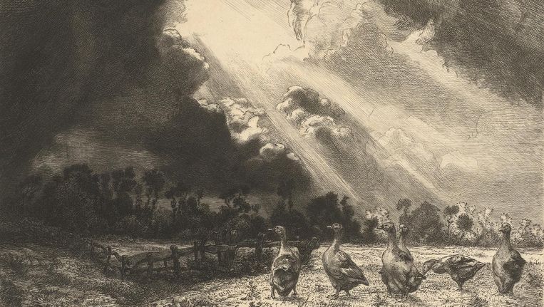 Félix Bracquemond, Landschap met naderende onweersbui en ganzen in weide, 1860-1914. Beeld Rijksmuseum
