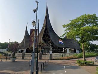 Nederlands meisje (5) komt met hoofd vast te zitten in speeltuig Efteling