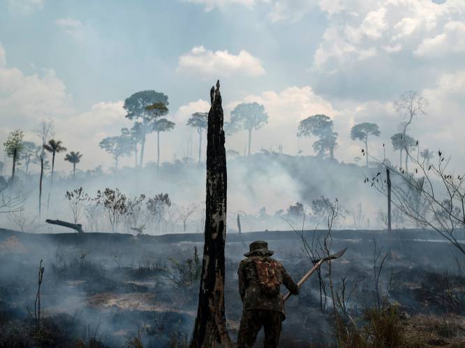 63 mensen opgepakt in verband met bosbranden Amazone