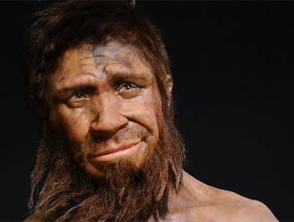 Neanderthalers meer ontwikkeld dan gedacht
