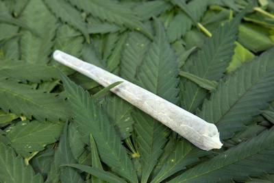 Ede stevent af op verbod wietgebruik in hele gemeente