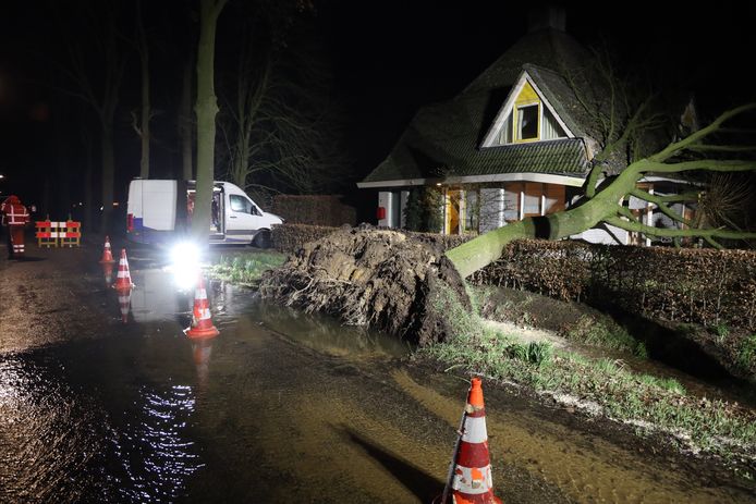 Een omgewaaide boom aan de Heuveleindseweg in Best heeft een waterleiding beschadigd.
