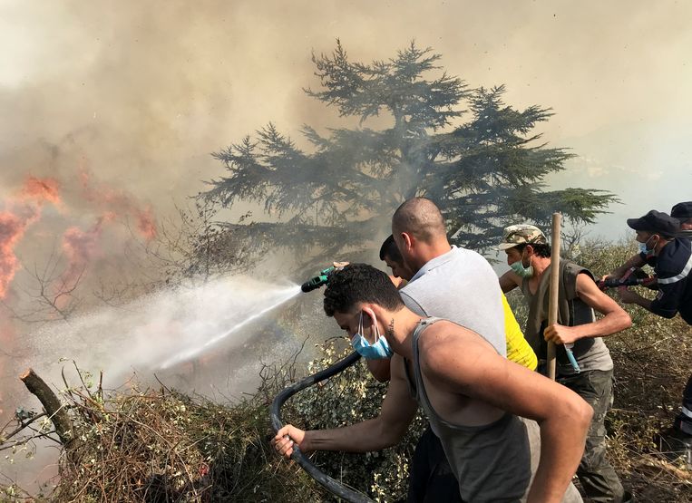 Vrijwilligers gaan het vuur te lijf met een tuinslang in Tizi Ouzou in Algerije. Beeld REUTERS
