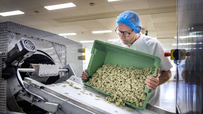 Nederlandse BenBits troeft multinational Mentos af: weg vrij voor ‘plasticvrije’ kauwgom