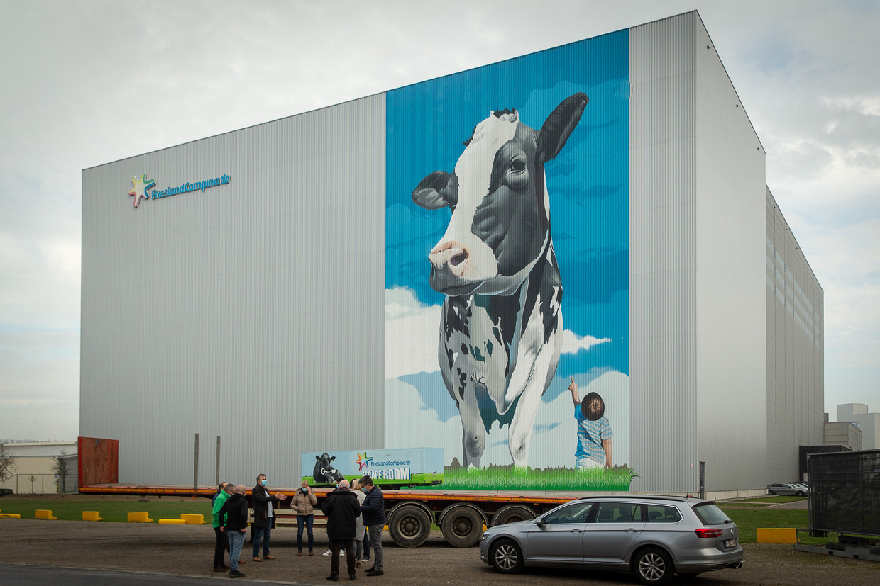 De vestiging van FrieslandCampina in het Belgische Aalter. Tegenvallende cijfers nopen het bedrijf tot het afstoten van arbeidsplaatsen. Beeld BELGA