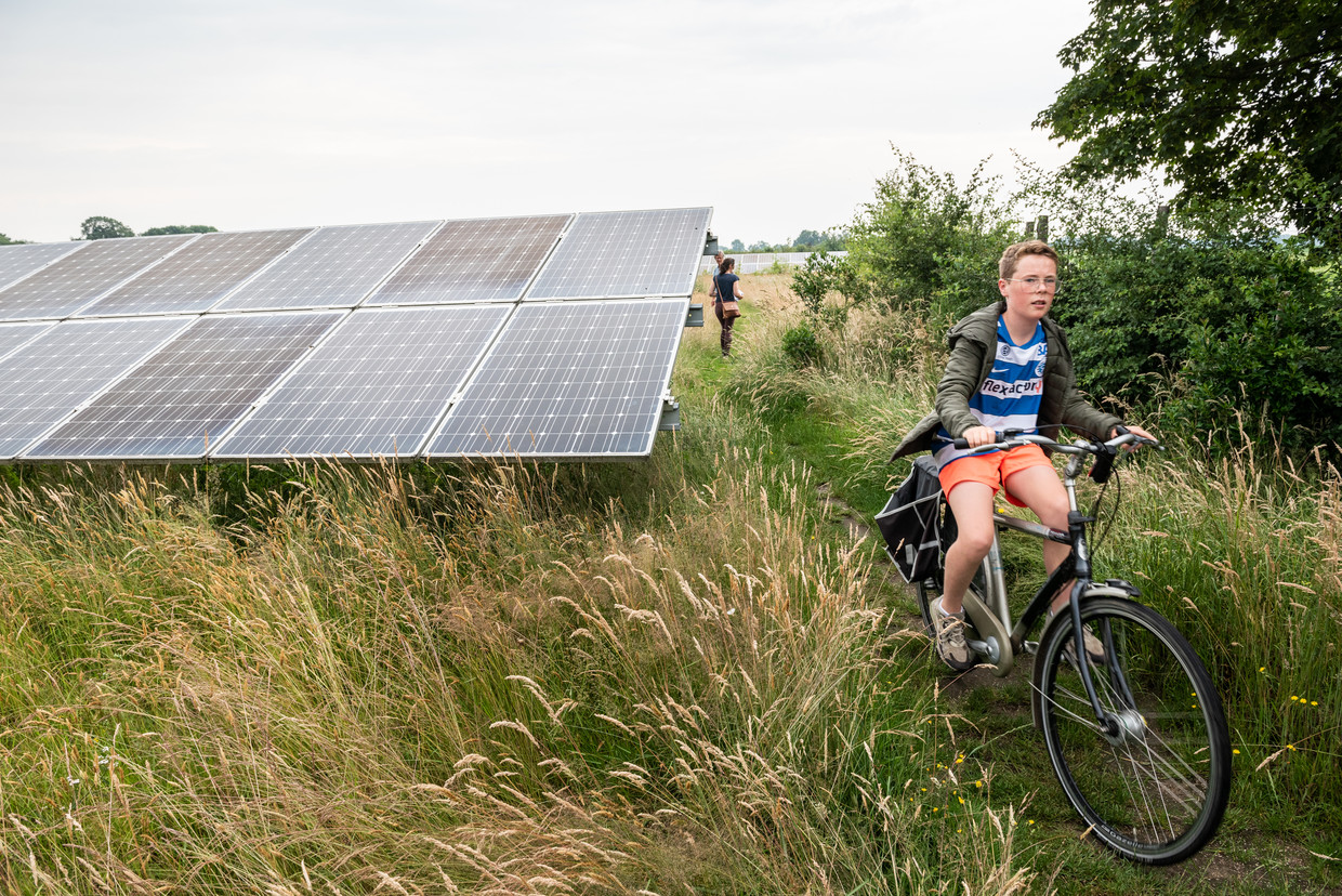 Zonnepark in gemeente Hengelo. Beeld Simon Lenskens