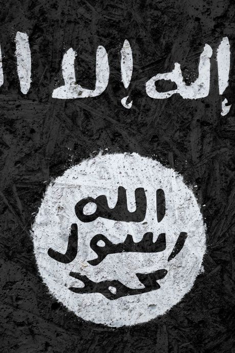 Sept individus soupçonnés d’avoir prêté allégeance à l’EI arrêtés en Allemagne
